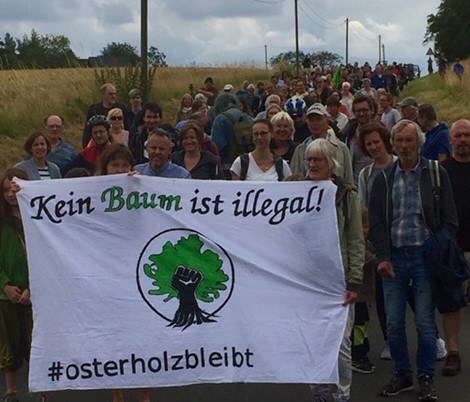 Osterholz bleibt! Grüne waren beim Waldspaziergang gegen die Rodung dabei!