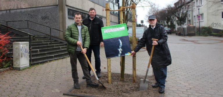 Mettmanner Grüne in taeglich.me