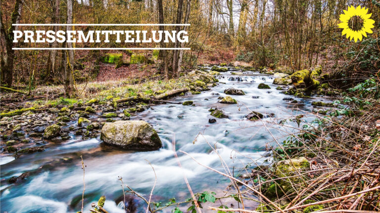GRÜNE zur Ratssitzung am 14.04.