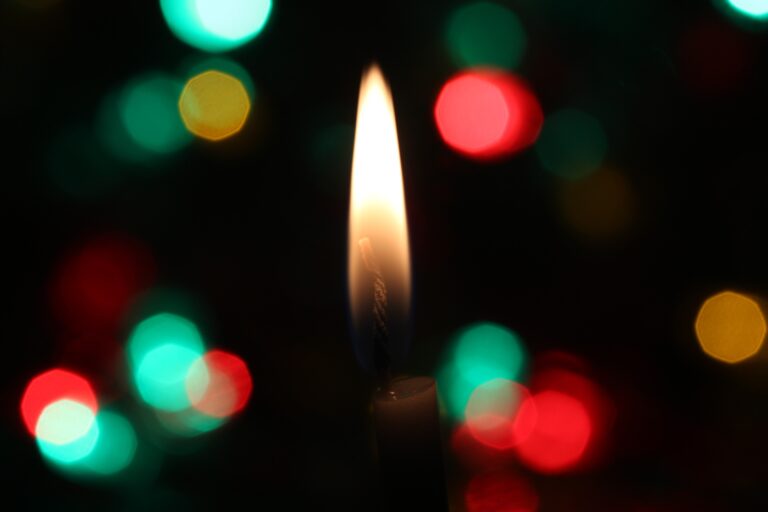 Weihnachtsgruß der GRÜNEN Mettmann