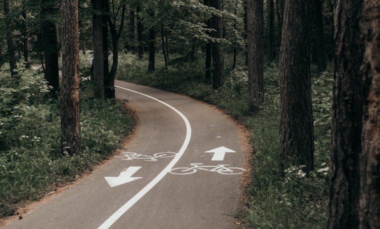 Pressemitteilung: GRÜNE wollen Klimaschutz und Radverkehr stärken