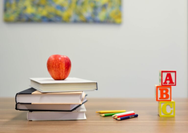 GRÜNE für bedarfsorientierte Planung der Mettmanner Schullandschaft
