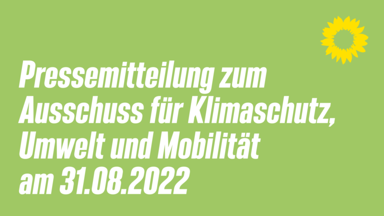 Fortschritte bei der Mobilitätswende, Nachholbedarf im Energiebereich 